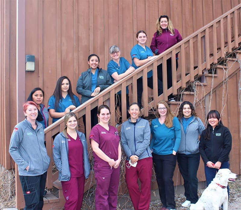Staff Ruidoso Animal Clinic in Ruidoso, NM