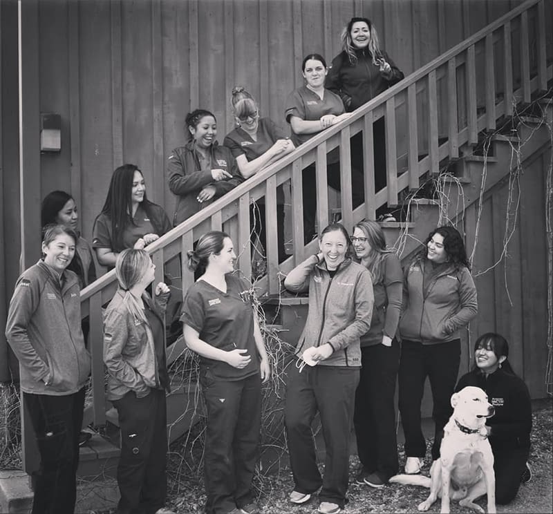 Staff Ruidoso Animal Clinic in Ruidoso, NM